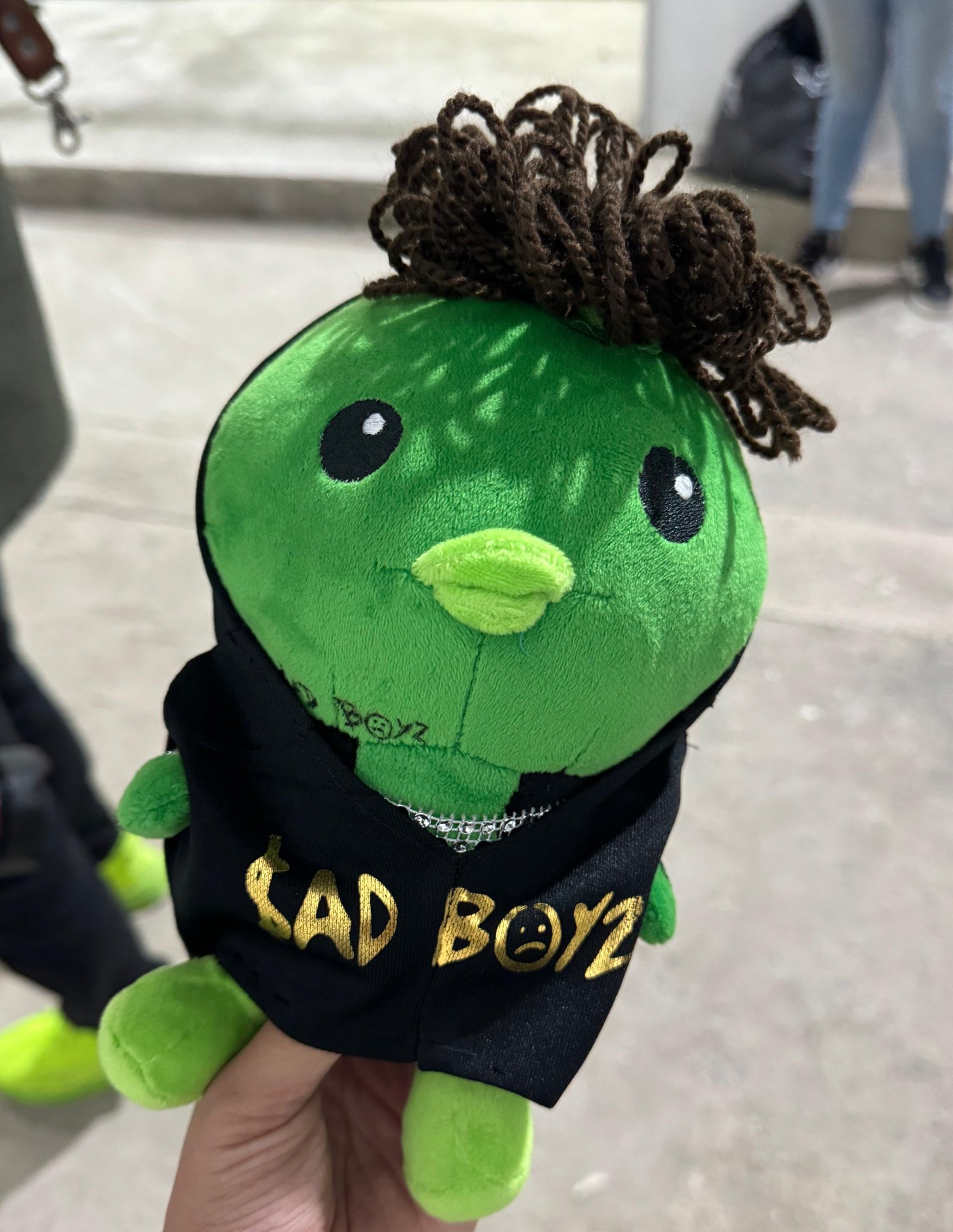 Foto: X Ricardo Gallardo