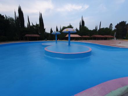 Alistan nuevo hábitat para jaguar y pantera en parque Tangamanga I