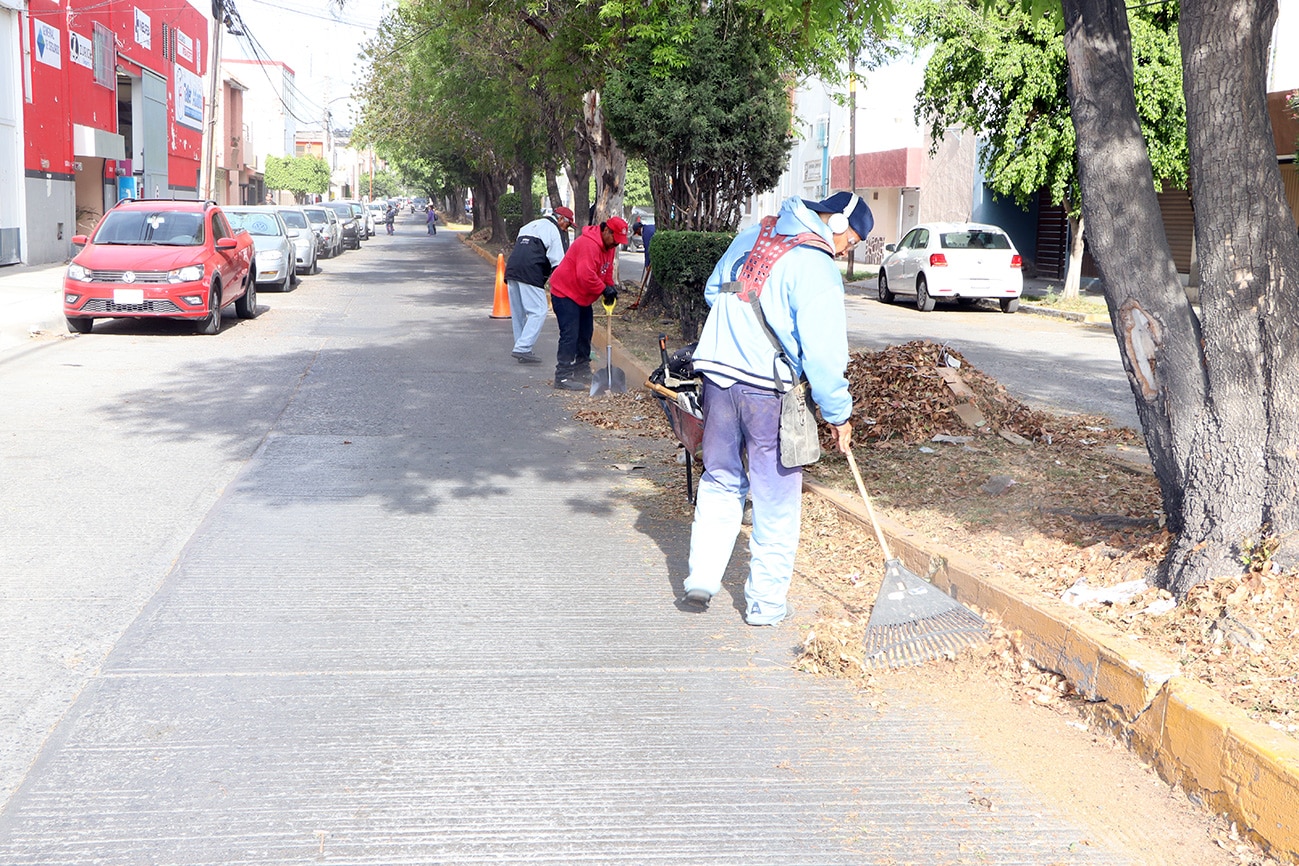 Retiran más de 28 toneladas de maleza de camellones y jardines municipales