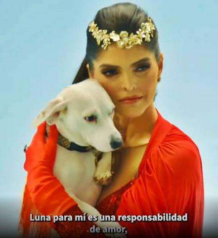 Día Mundial del Perro. Ana Bárbara, Rubí Ibarra, Enrique Galindo, y otros potosinos amantes de los perritos