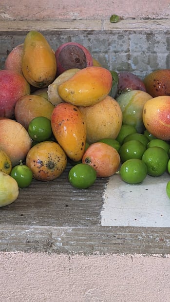 El profesor potosino invitó a los internautas a compartir de la fruta de temporada que tuvieran a su alcance. Foto: FB@Profe Curro R