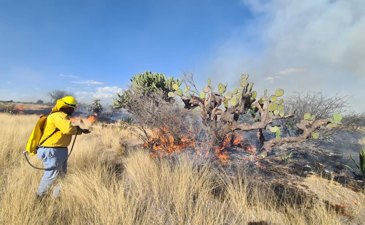 Villa de Reyes se blinda contra incendios ante temporada de sequía