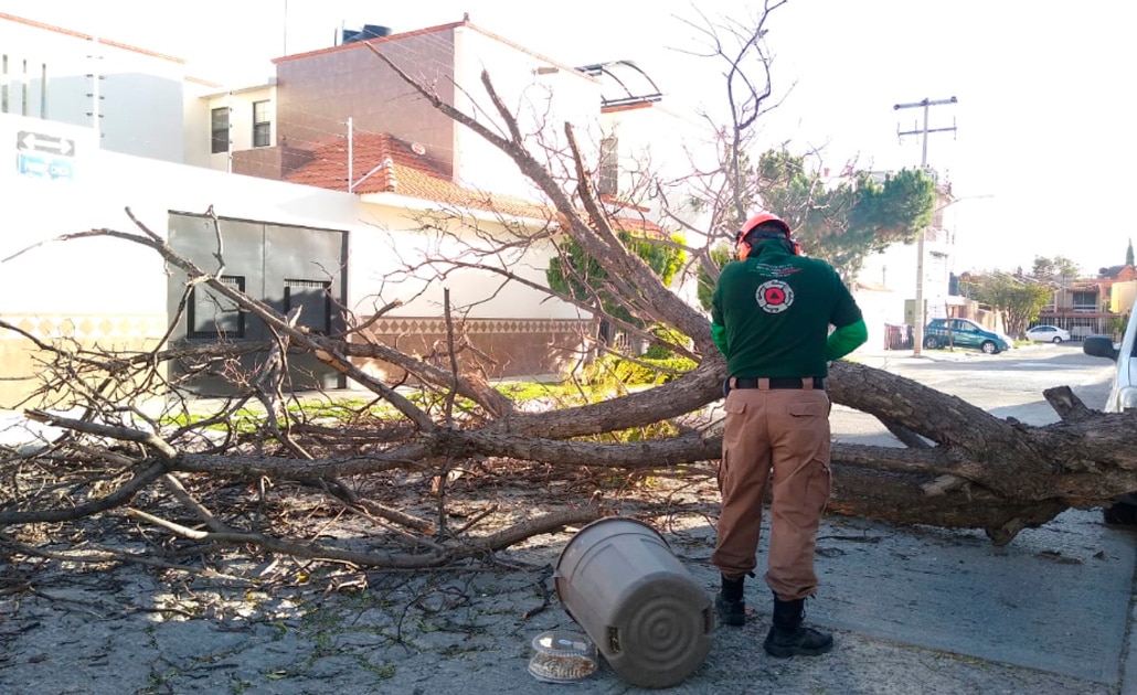 Gobierno capitalino refuerza operativo “Fuertes Vientos 2020”