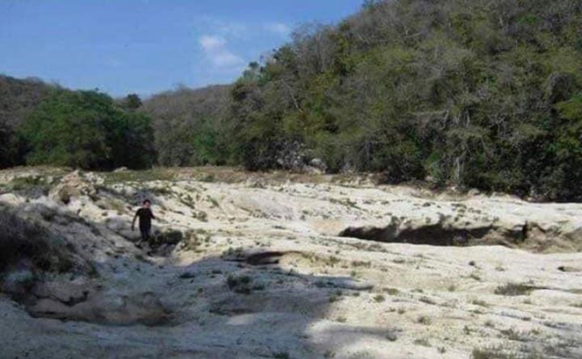 Por falta de agua, empresario llama a declarar la Huasteca potosina como zona de desastre