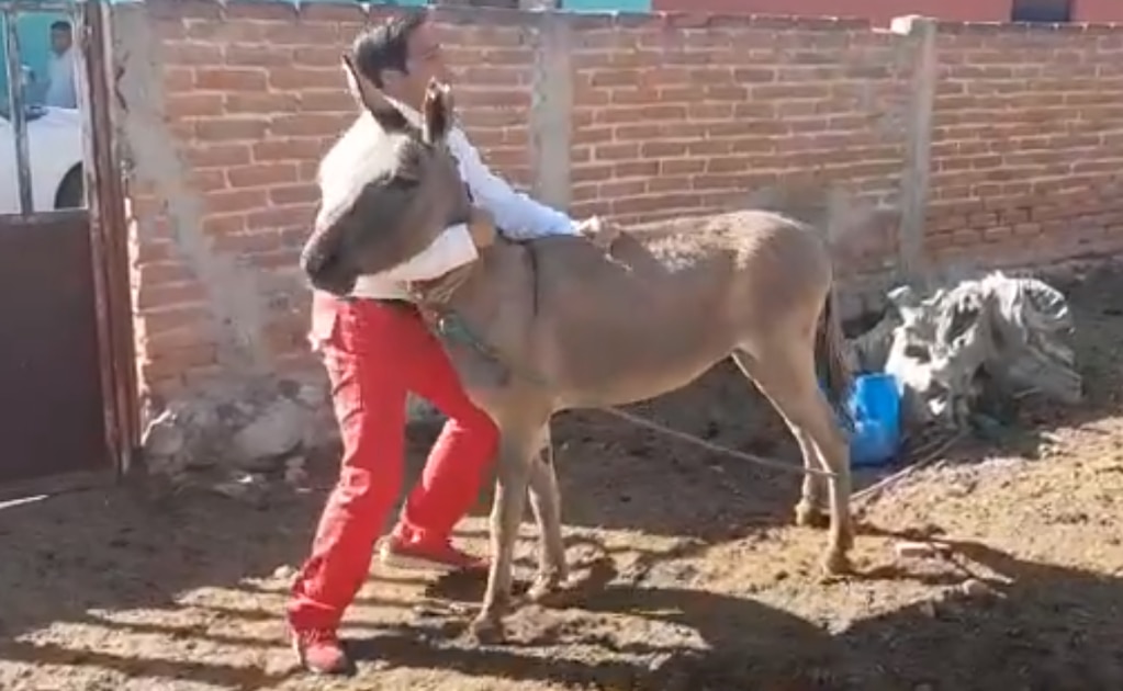 Foto: Archivo. EL UNIVERSAL