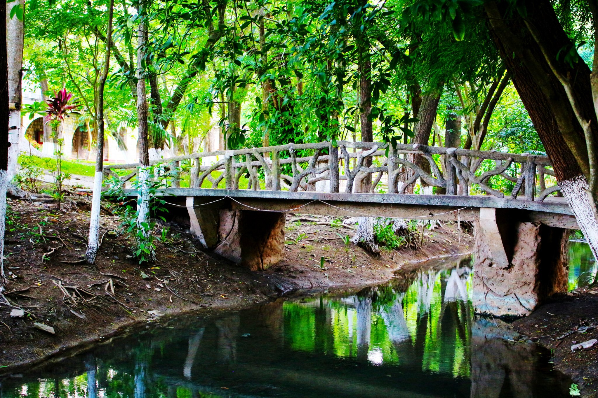 Hotel Taninul. Foto: FB, Hotel Taninul SLP