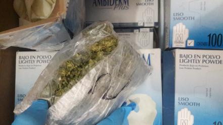 Aseguran droga en aeropuerto “Ponciano Arriaga”