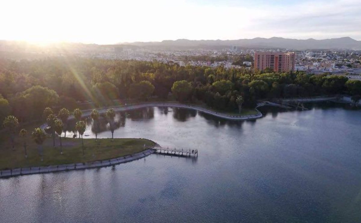 Parque Tangamanga contará con zoológico y espacio “pet friendly”, dice Ricardo Gallardo