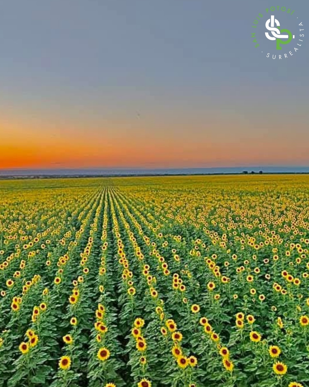 Foto: San Luis Potosí Turismo.