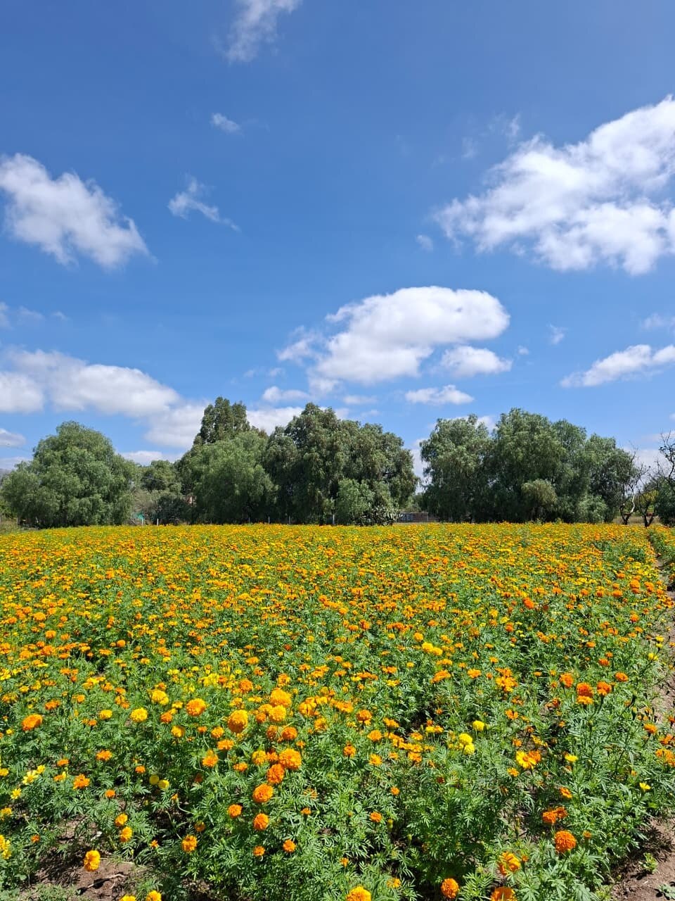 Foto: Humberto Torres