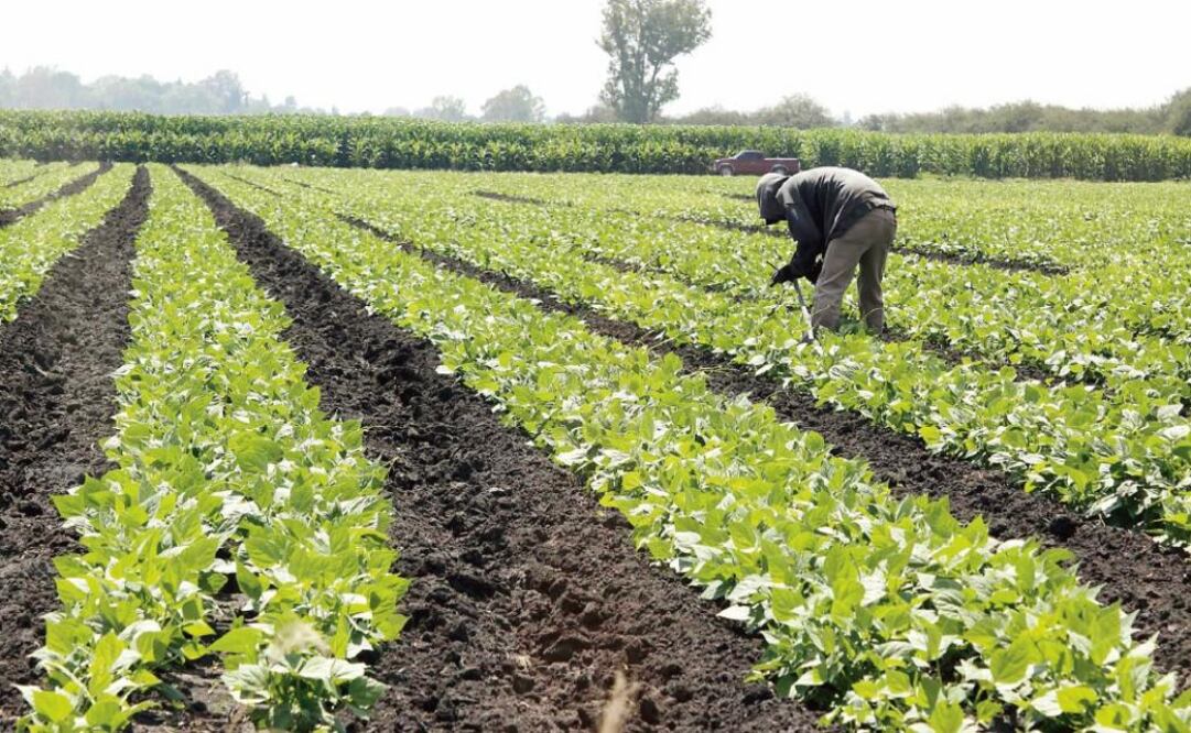 Foto: Archivo El Universal