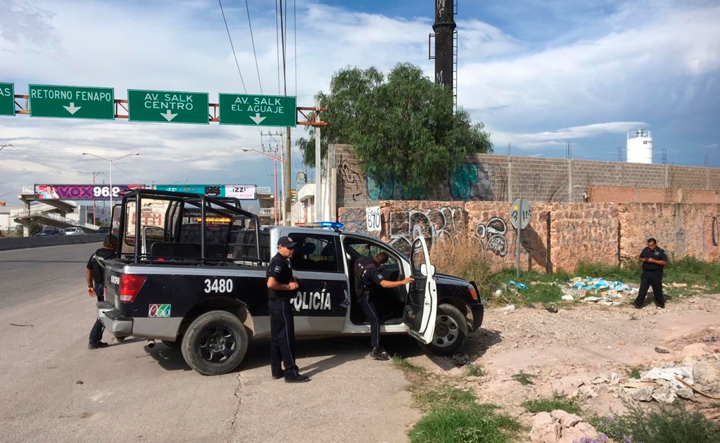 Inhumación canina provoca movilización 