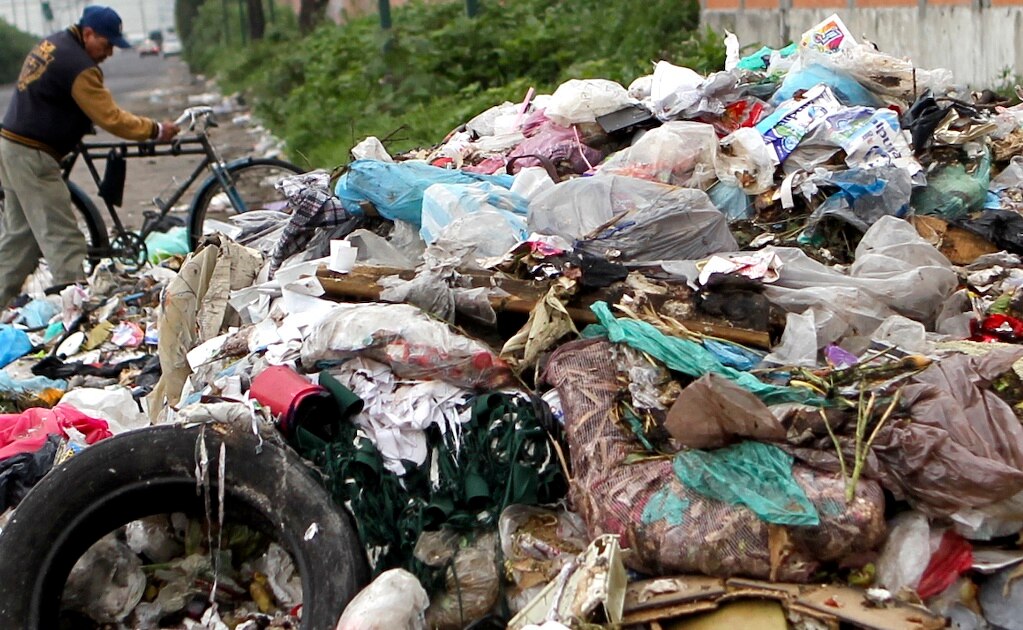 Segam elabora normas ecológicas para ladrilleras, separación de residuos y poda de árboles