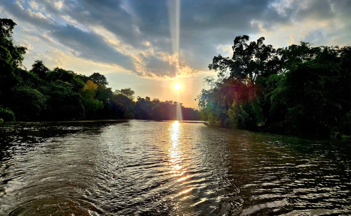El río Valles es el hábitat de diversas especies de aves que pueden avistarse durante los recorridos en trajineras