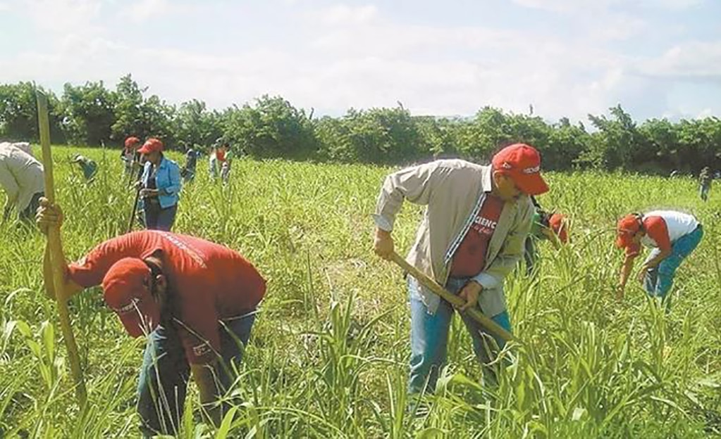 “Indefensos, mexicanos que trabajan en Canadá”