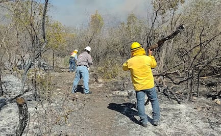 SLP suma 30 incendios forestales en lo que va de 2026; 17 mil hectáreas siniestradas: CEPC