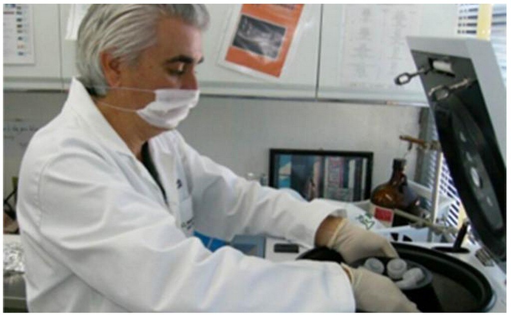 Mexicano crea antibiótico con piel de rana para curar infecciones en vacas