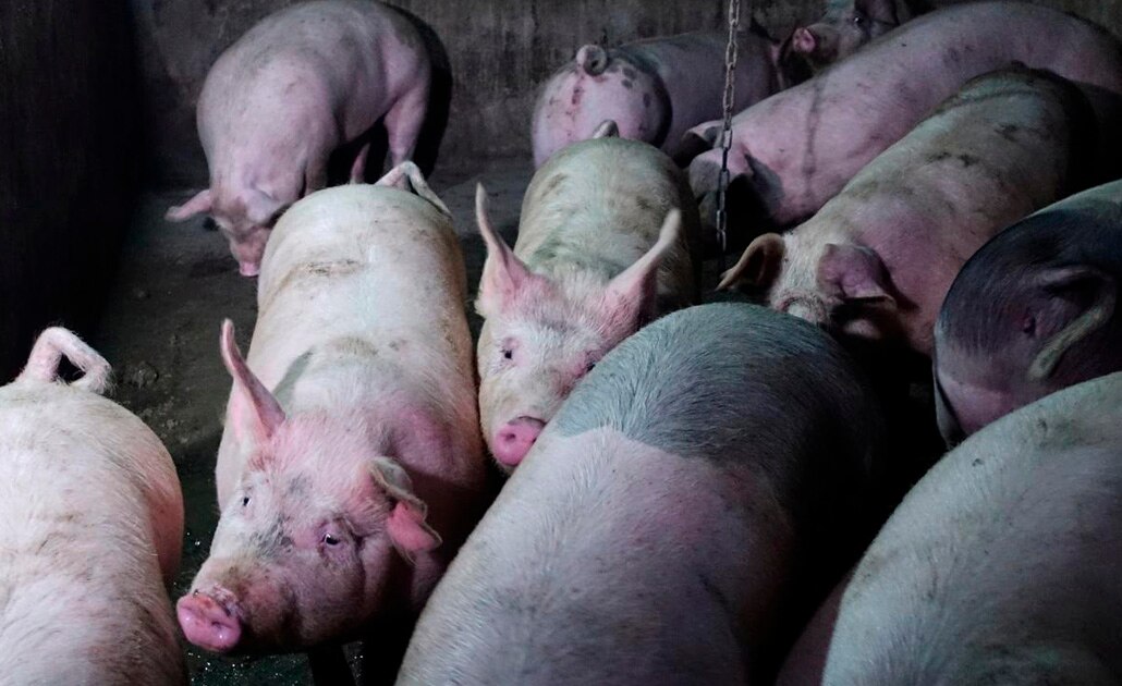 Foto: Reuters | El Universal