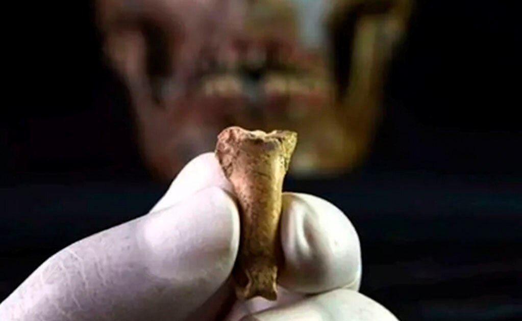 Hallan el último collar de los neandertales, hecho de garras de águila