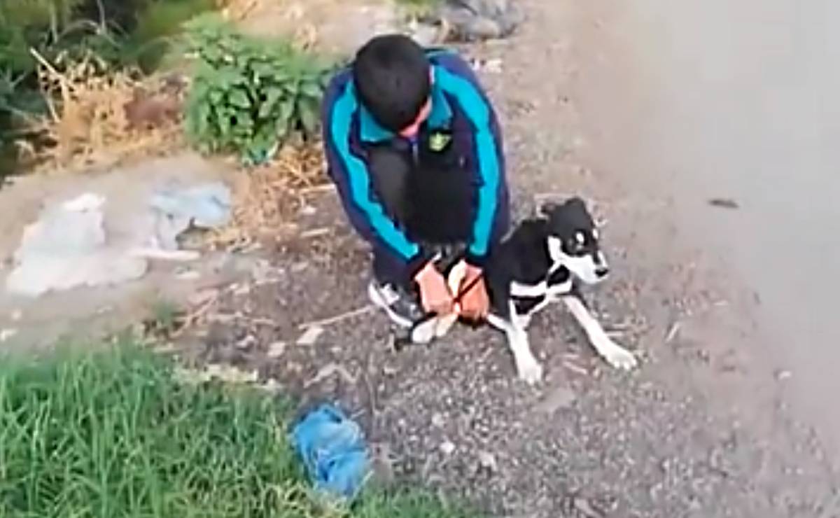 VIDEO. Ata a su perro y lo avienta al río en el Edoméx; vecino lo cacha y lo obliga a rescatarlo 