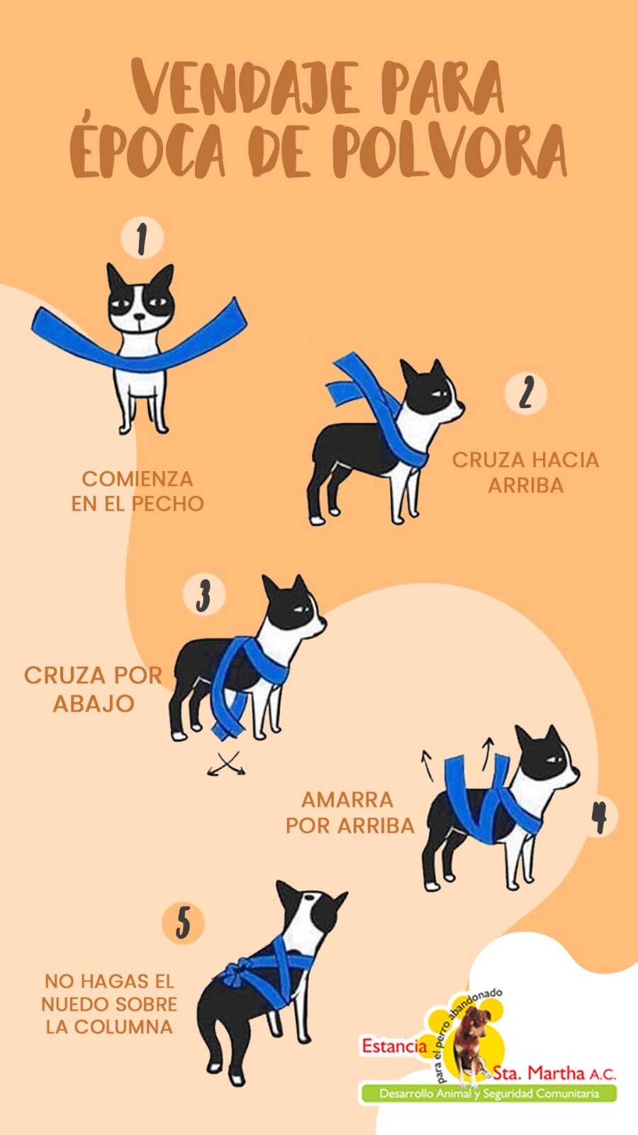 Cuidado animal por pirotecnia.