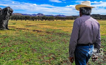 En riesgo, 130 años de tradición taurina