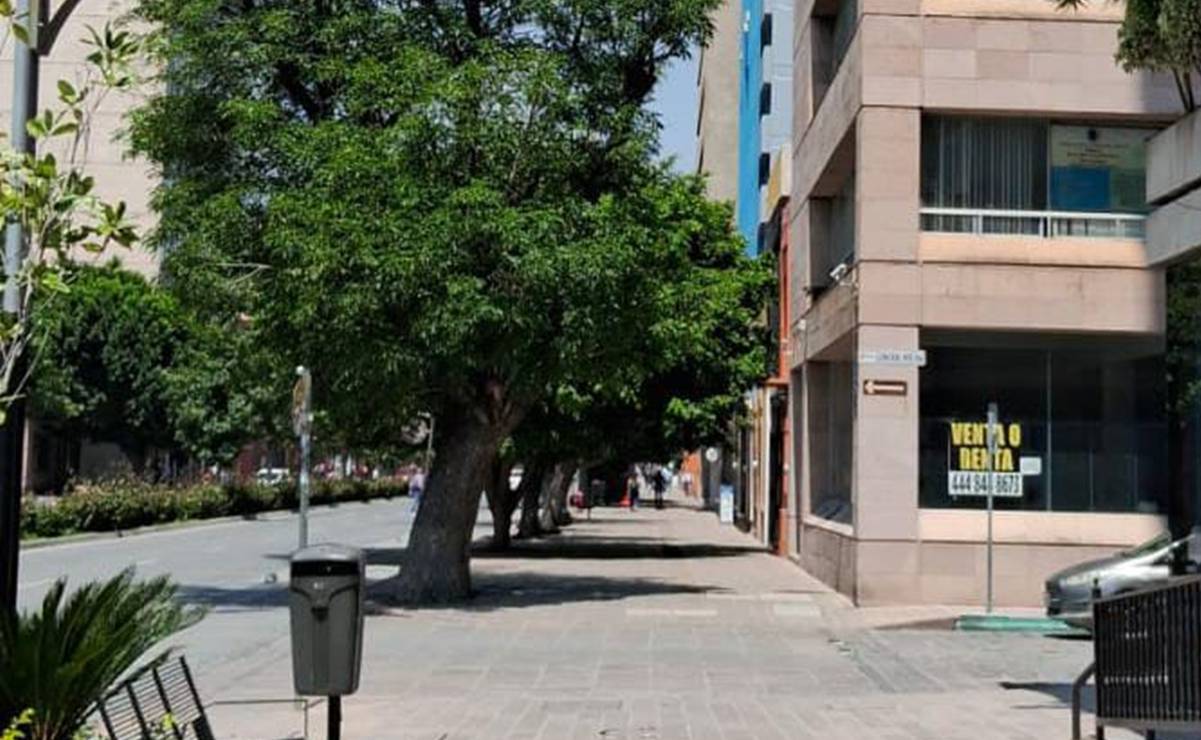 Foto: Jazmín Ramírez / Archivo EL UNIVERSAL