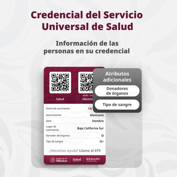 Reverso de la nueva Credencial del servicio Universal de Salud. Foto: Gobierno Federal.