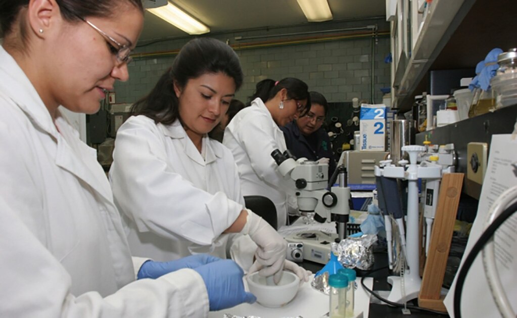 A la baja empleos de mujeres en ciencia y tecnología, alertan