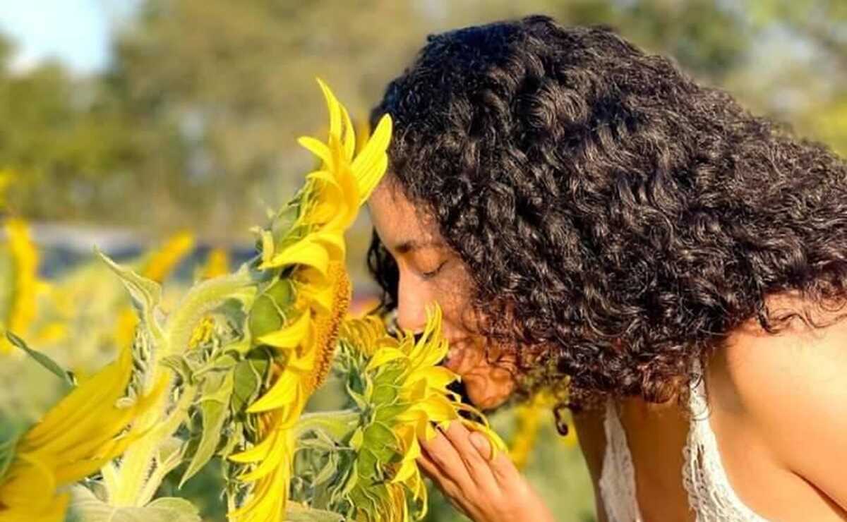 Campo de Girasoles de Tamuín reabrirá sus puertas en SLP esta temporada 
