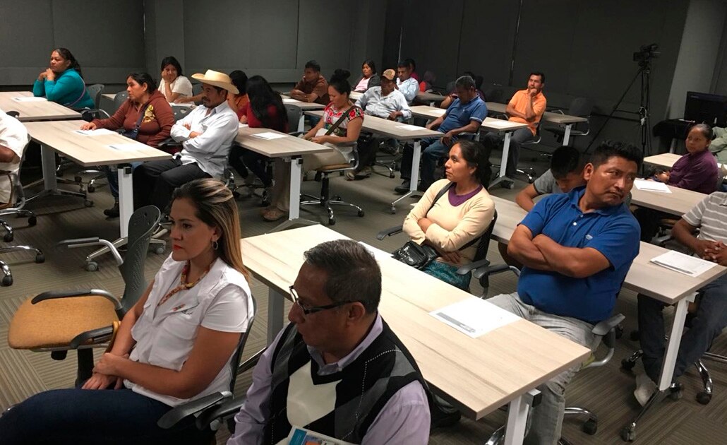 Foto: El Universal San Luis Potosí