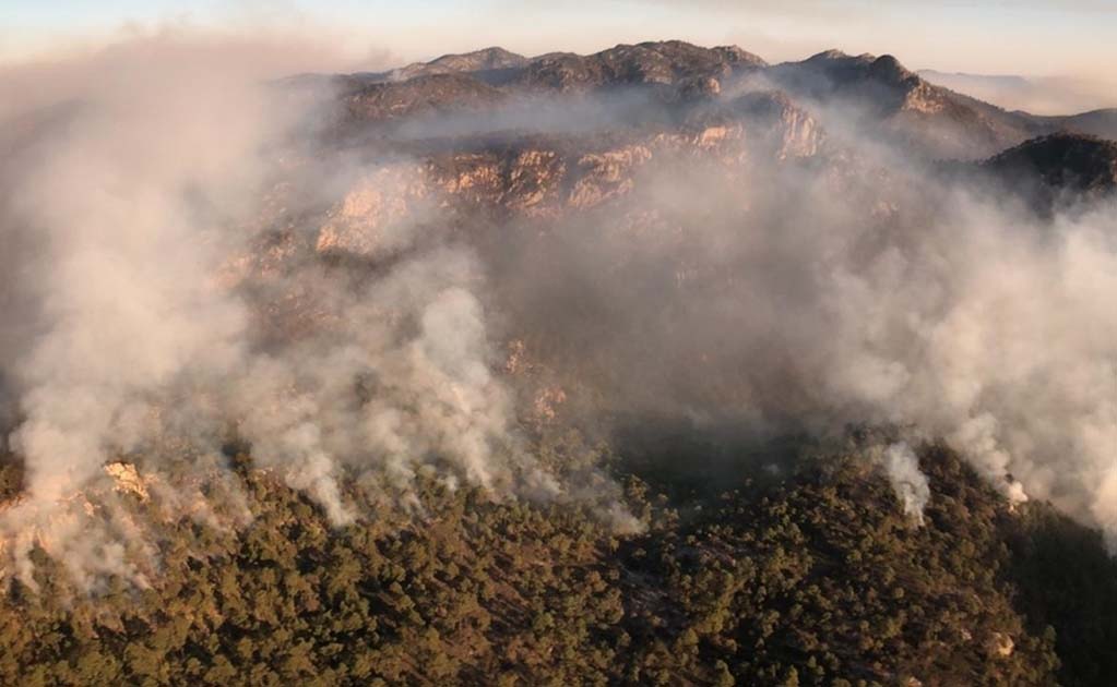 Más de 200 brigadistas atienden incendio de Sierra de San Miguelito