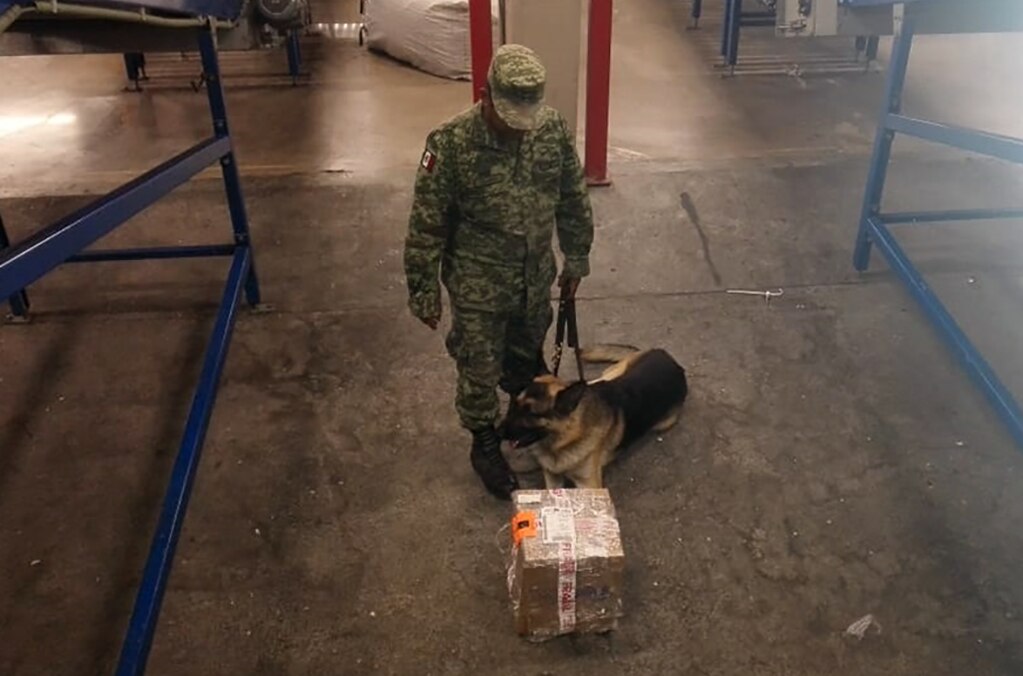 Ejército Mexicano asegura marihuana y cristal en aeropuerto de SLP