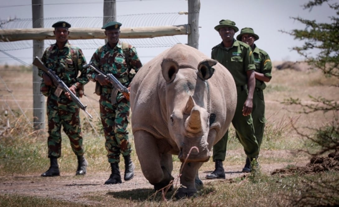 Foto: EFE | El Universal