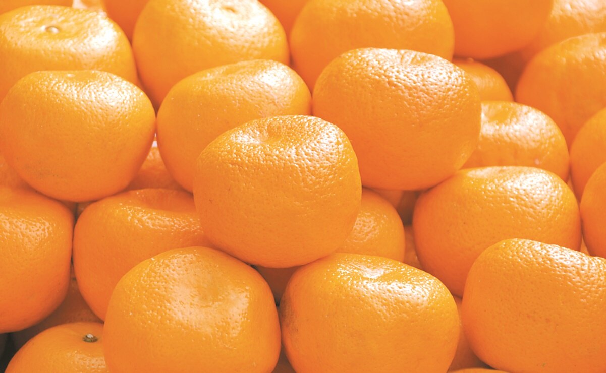 Prepara pay de mandarina sin horno