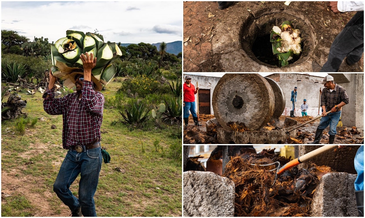 Vive la aventura de la Ruta del Mezcal por el Altiplano potosino y sumérgete en su historia