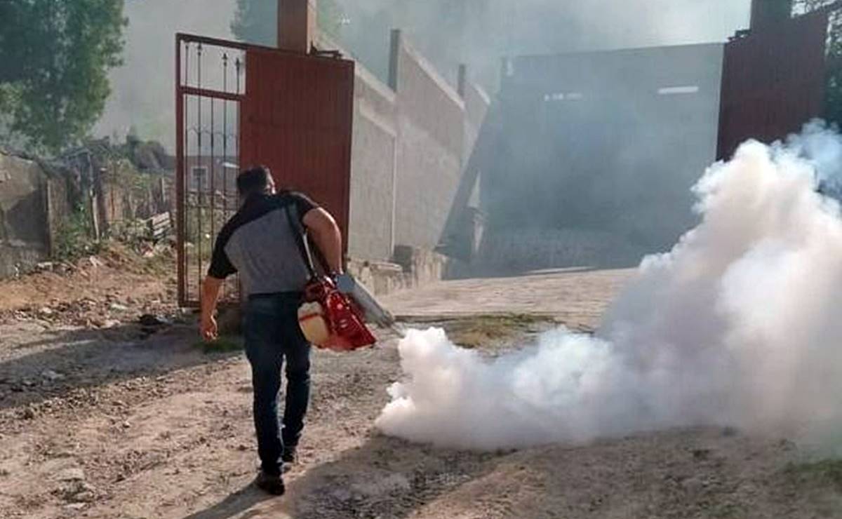 Detectan los primeros dos casos de dengue en San Luis Potosí