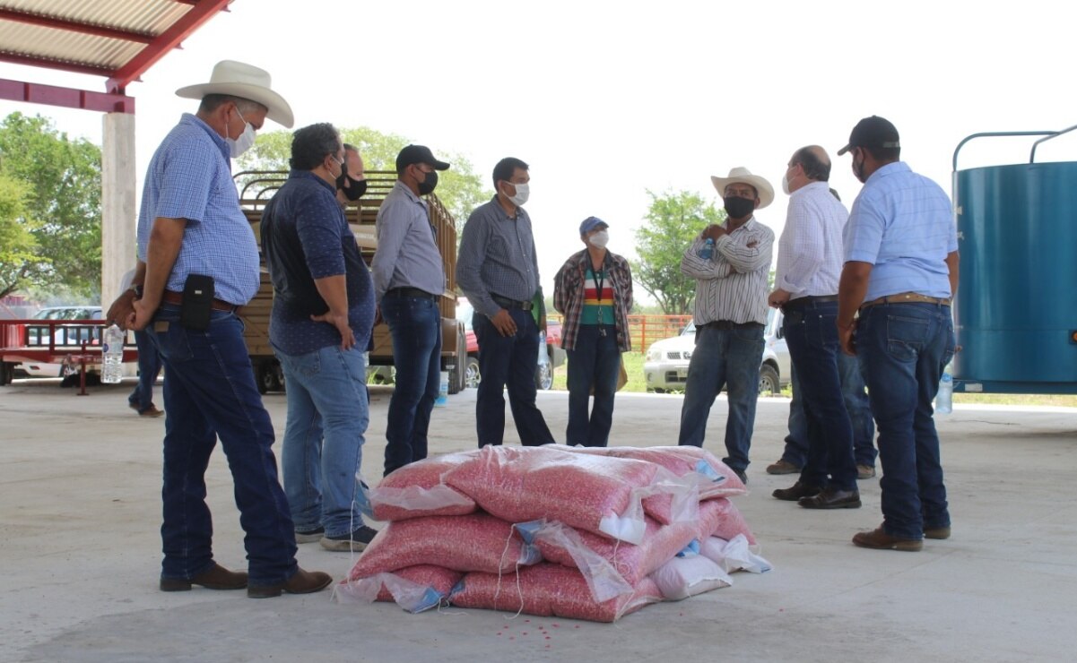 Entrega de paquetes de semilla inició en primera semana de julio: Sedarh