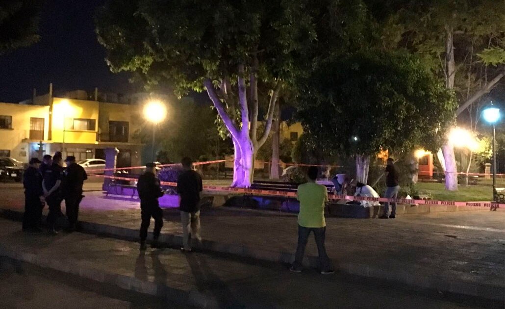 Localizan cuerpo en jardín de San Sebastián