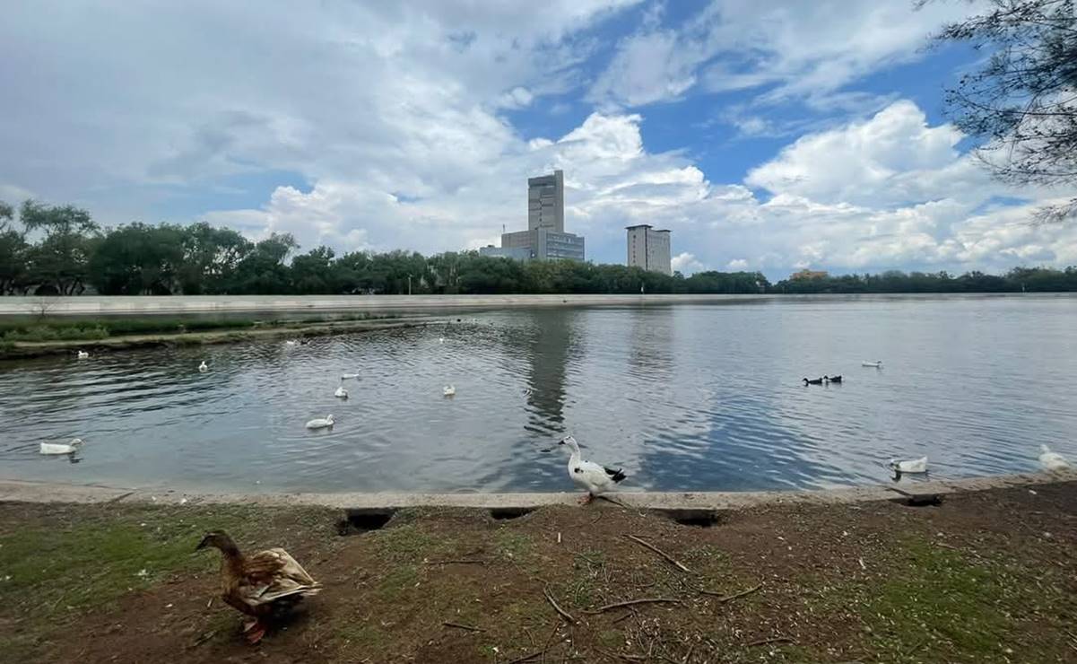 ¿Abrirán los Parques Tangamanga el 25 de diciembre y 1 de enero?