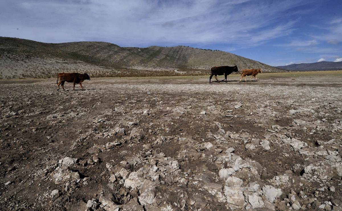 San Luis Potosí alista plan de emergencia por falta de lluvias y sequía