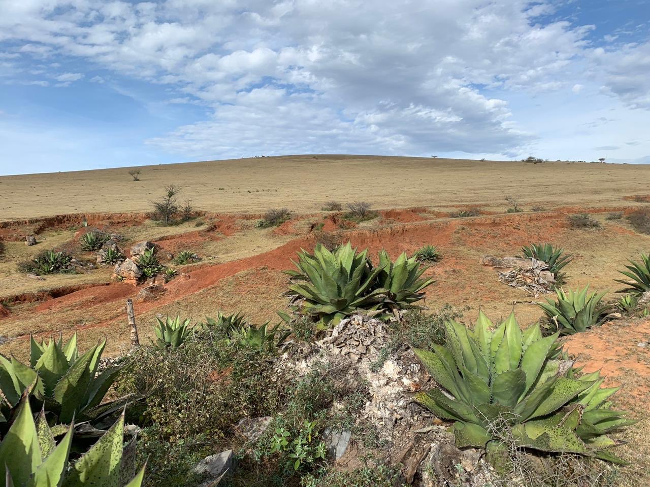 Foto: Sendero El Capitán / Secretaria de Turismo de SLP