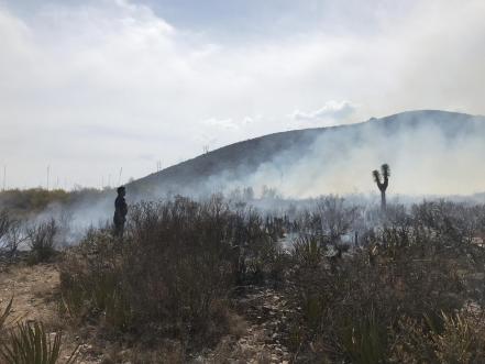 Continúan incendios forestales en Altiplano potosino