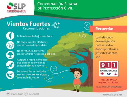 Fuertes vientos provocan caída de una veintena de árboles y espectaculares: PC