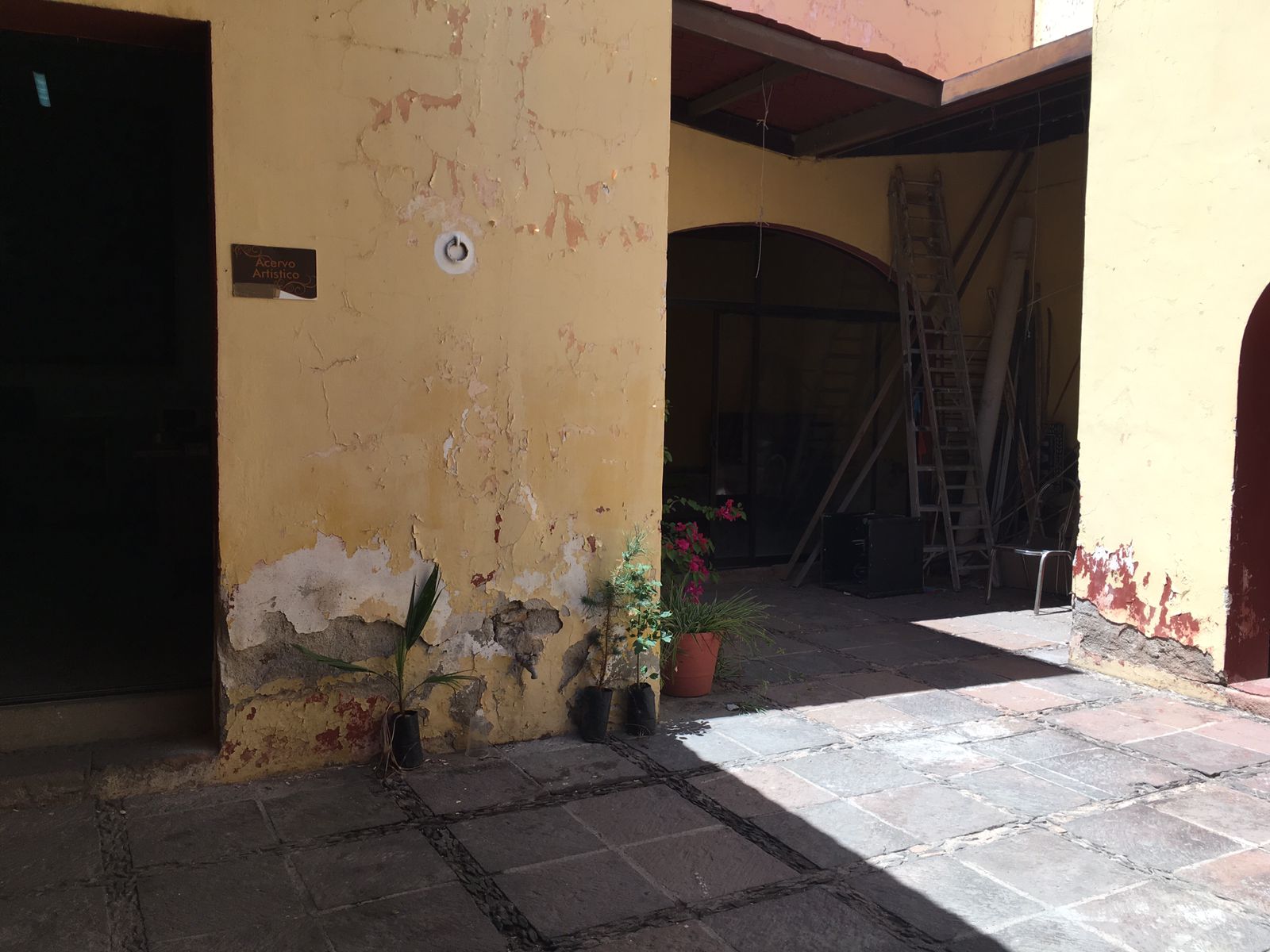 Foto: Regina Arellano