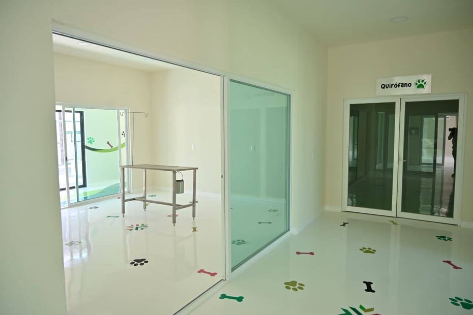 Foto: Ricardo Gallardo