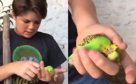 "Chimuelo", el primer viral de 2019 que llegó a la publicidad