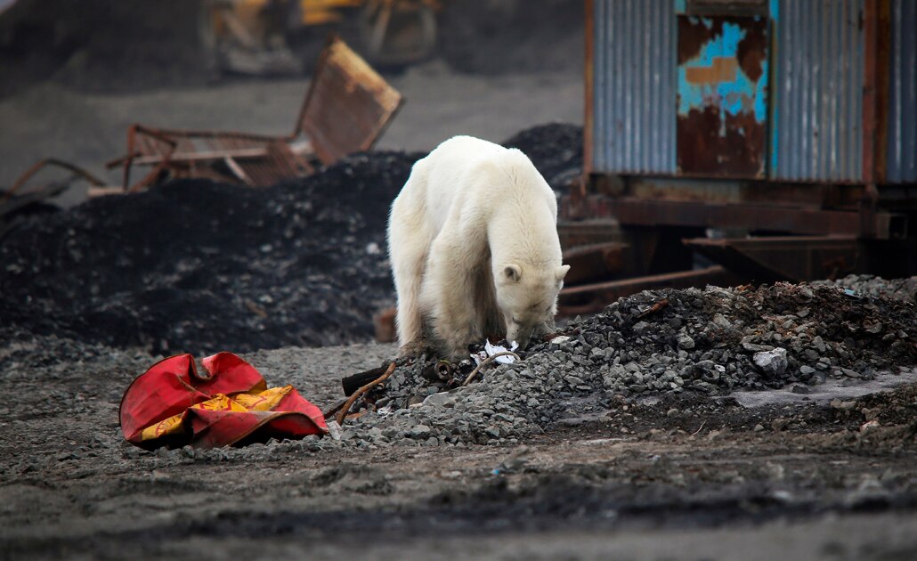 Foto: Reuters | El Universal