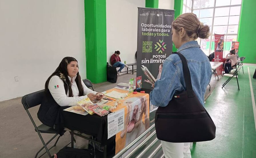En SLP 3 de cada 10 mujeres mantienen su hogar; anuncian feria del empleo para ellas