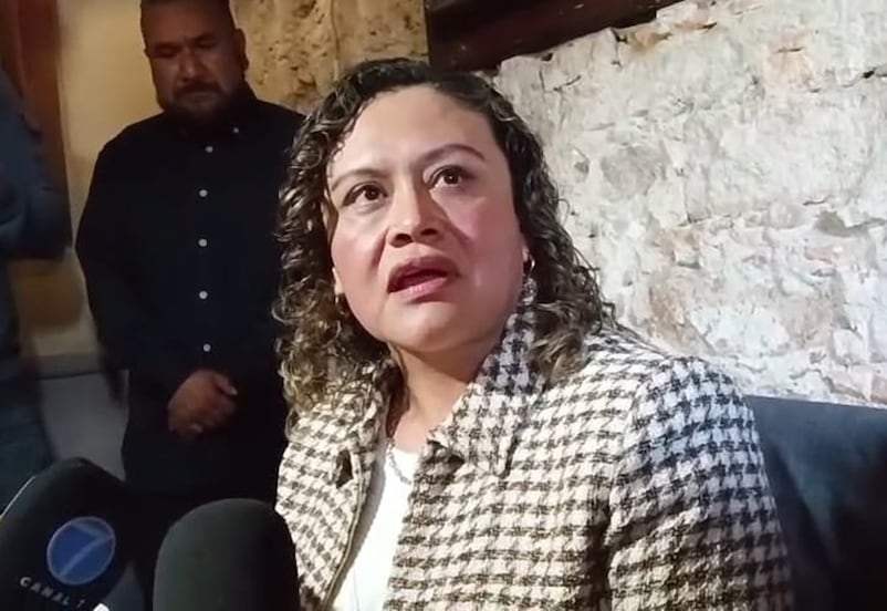 Ceepac no es actor político, reforma electoral en SLP se basó en análisis técnico: Paloma Blanco 